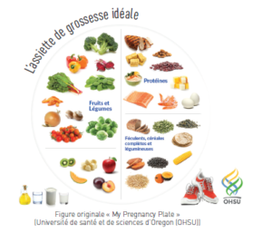 assiette idéale2