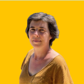 Gabarit brèves et avis d'expert