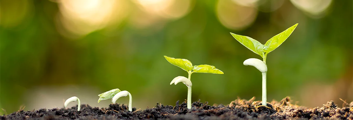 EGEA a sustainable event - Aprifel